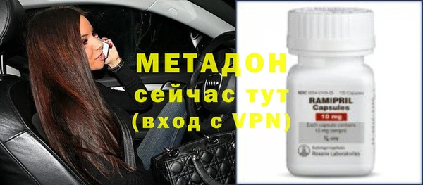 прущие грибы Абаза