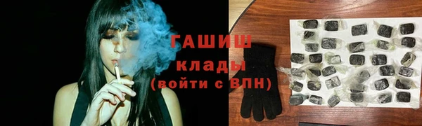 прущие грибы Абаза