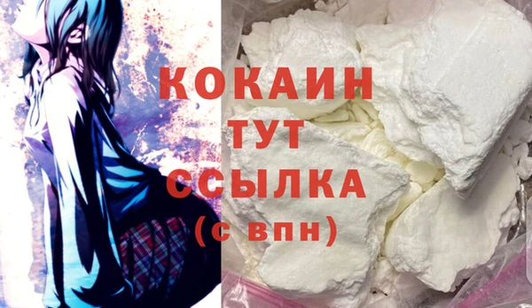 прущие грибы Абаза