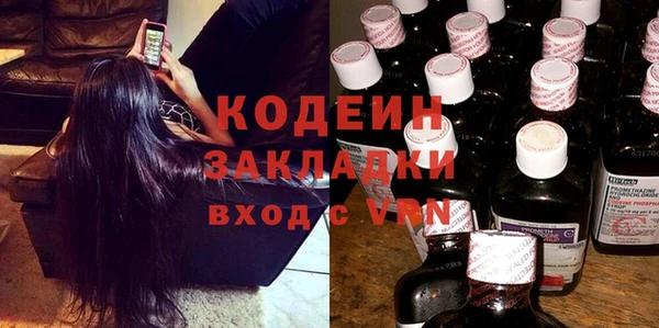 прущие грибы Абаза