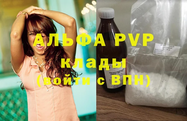 прущие грибы Абаза