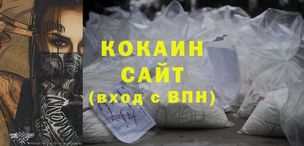 прущие грибы Абаза