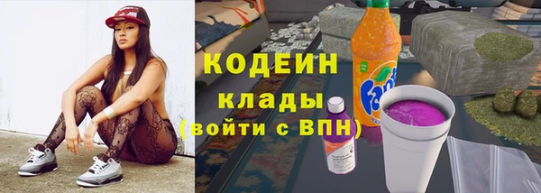 прущие грибы Абаза