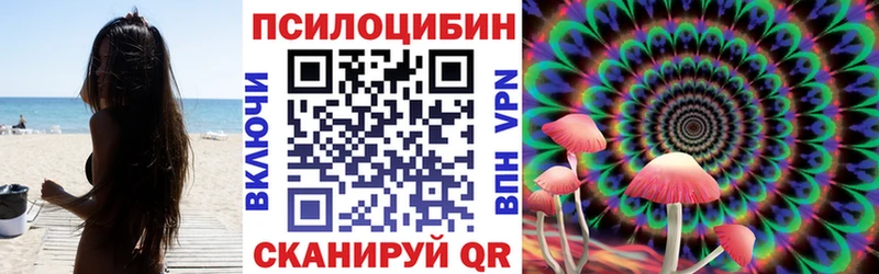 Псилоцибиновые грибы Psilocybine cubensis Благовещенск