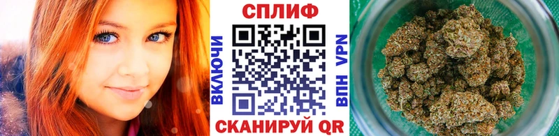 Бошки марихуана сатива  продажа наркотиков  Благовещенск 